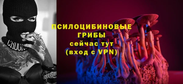 СК Тобольск